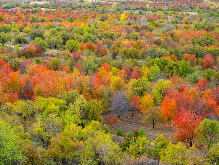 認識年金：保障未來的關鍵