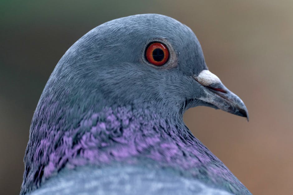 眼部療程的重要性與選擇指南